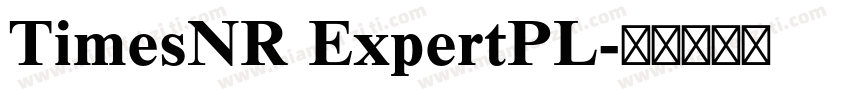 TimesNR ExpertPL字体转换